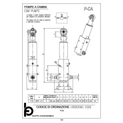 P-CA 1/4" cam pump