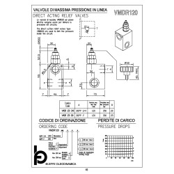 VMDR120 100 1" direct acting relief valve