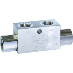 VRDE 100 1" double acting pilot check valve