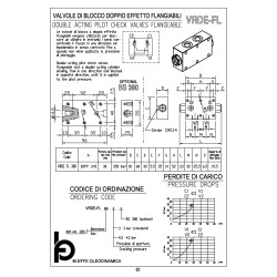 VRDE FL 380 3/8" double acting pilot check valve flangeable