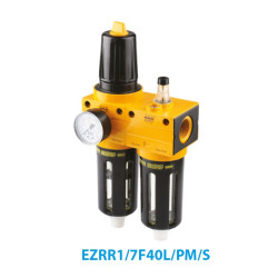 EZF1/40PM/SS Filter 1" 