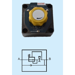 2FRM10-2X/50L NG 10 50 lt. HAND DRUM PRECISION SPEED CONTROL VALVE WITH CHECK VALVE