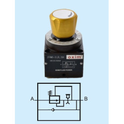 2FRM5-31/0.6QV NG 5 0.6 lt. HAND DRUM CHECK VALVE PRECISION SPEED CONTROL VALVE