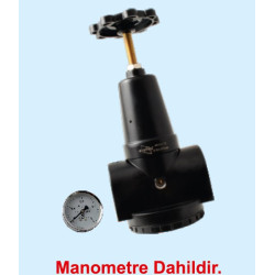 AR900-20 2" REGULATOR 0.5-8.5 Bar