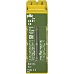 312485 PSSu E S INC