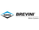 Dana Brevini Aron
